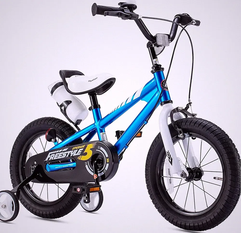 Royalbaby Kids Bike with Dual Handbrake for Beginners,12 14 16 18 20 Inch Bicycl